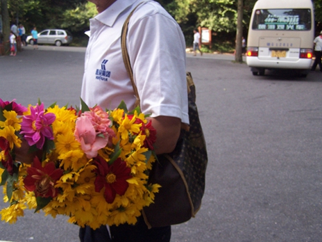 100_9267.jpg
