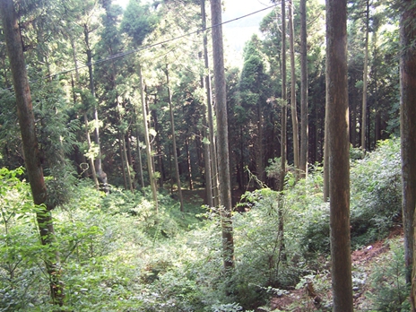 100_9270.jpg