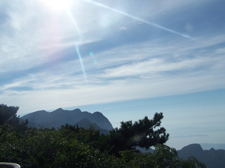 100_9279.jpg