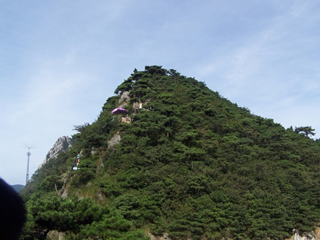 100_9284.jpg