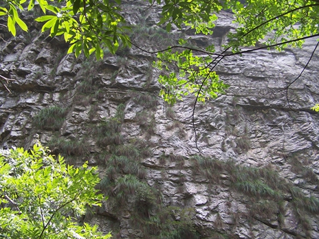 100_9308.jpg