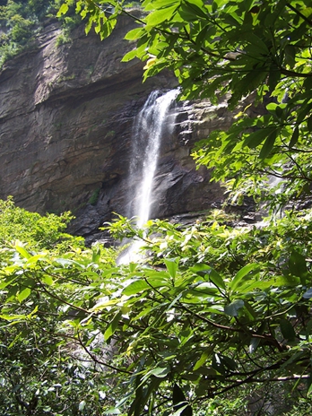 100_9309.jpg