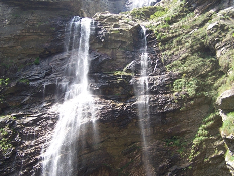 100_9319.jpg