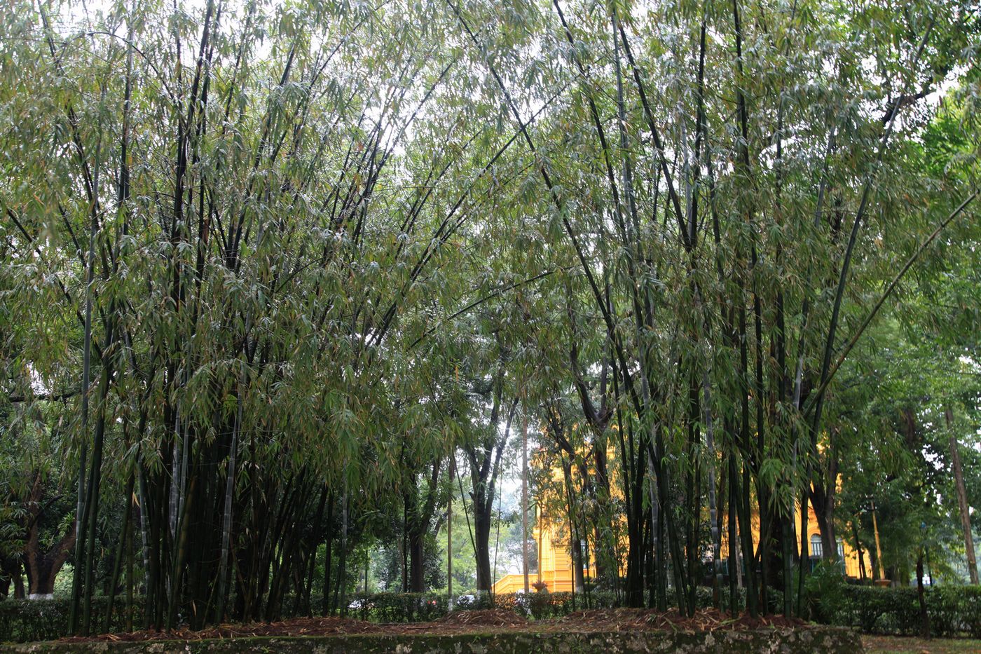 下龙湾，河内 728.jpg