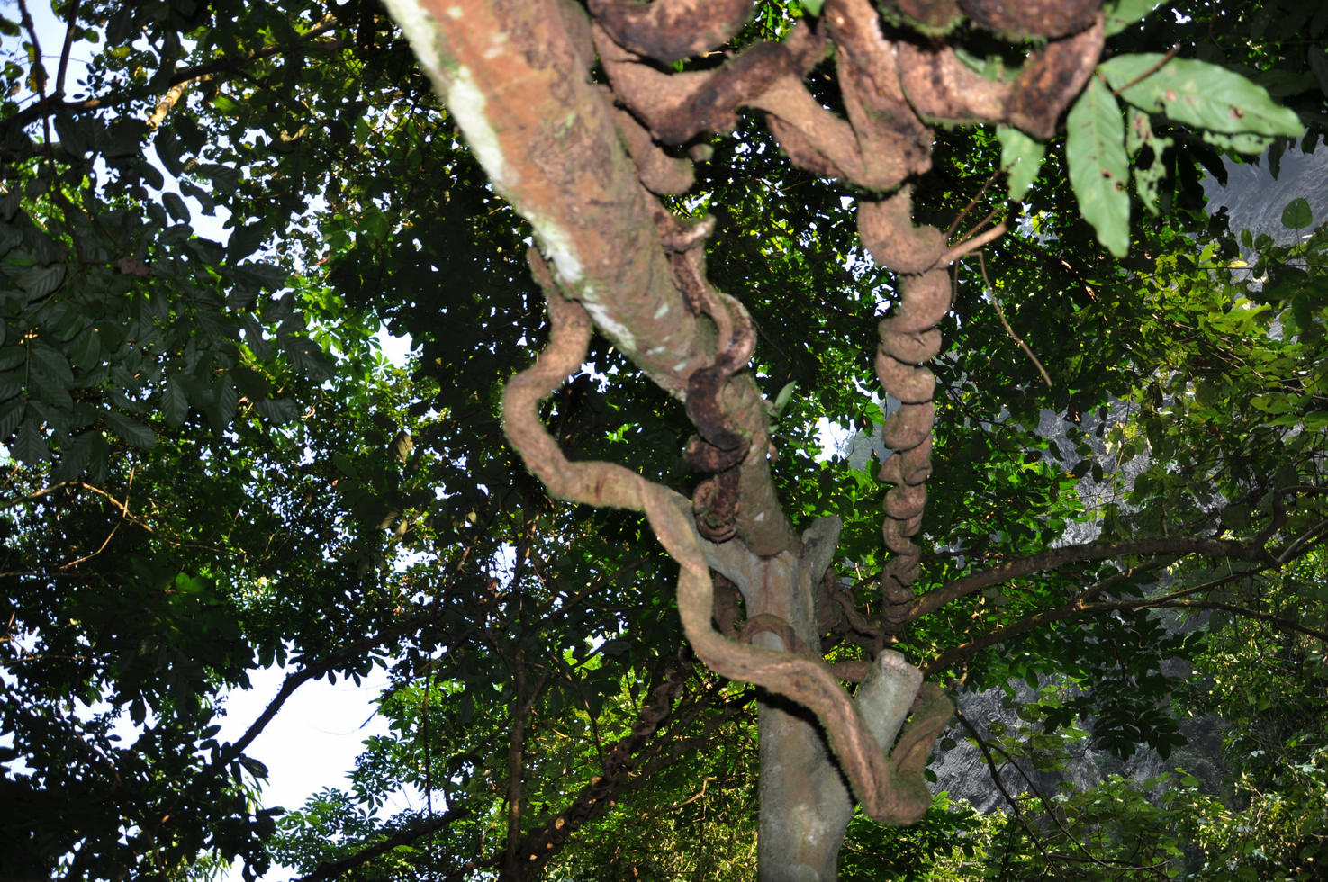 nEO_IMG_DSC_0674.jpg