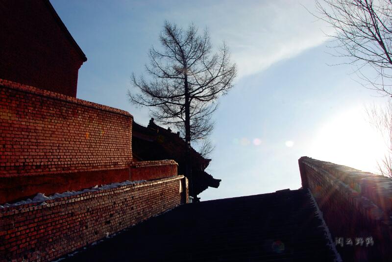 rps20131226_003146_438.jpg