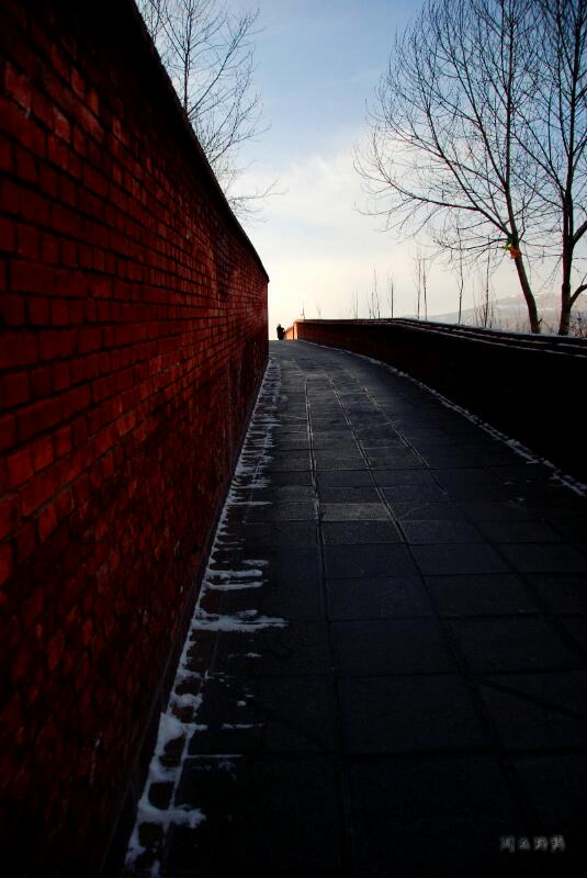 rps20131226_003125_467.jpg