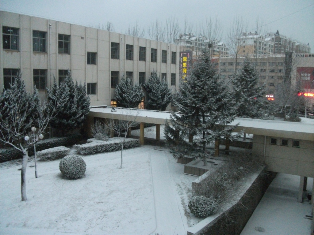 DSCF4629.JPG