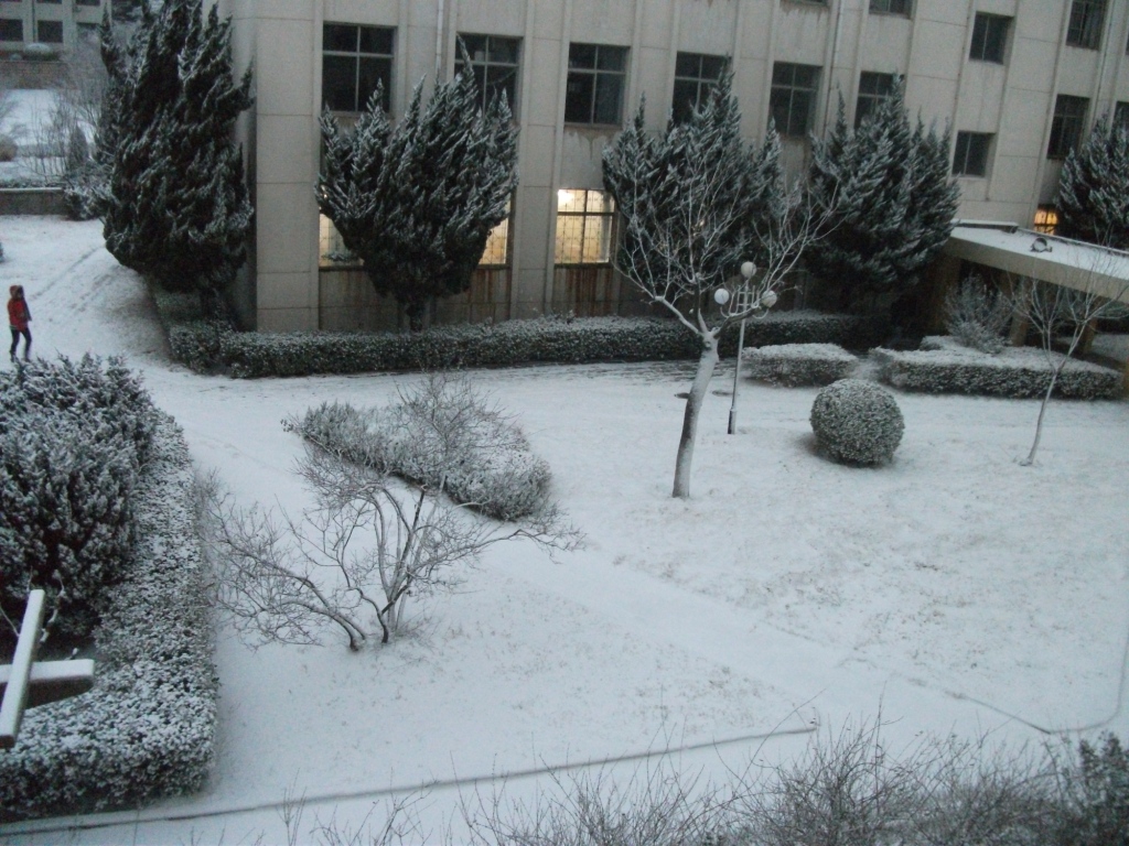 DSCF4624.JPG