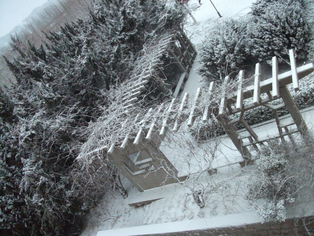 DSCF4625.JPG