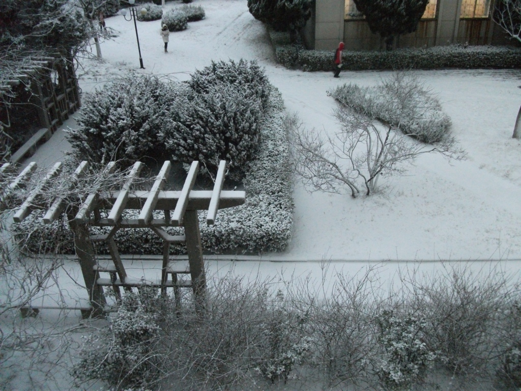 DSCF4626.JPG