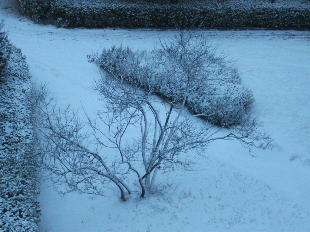 DSCF4628.JPG