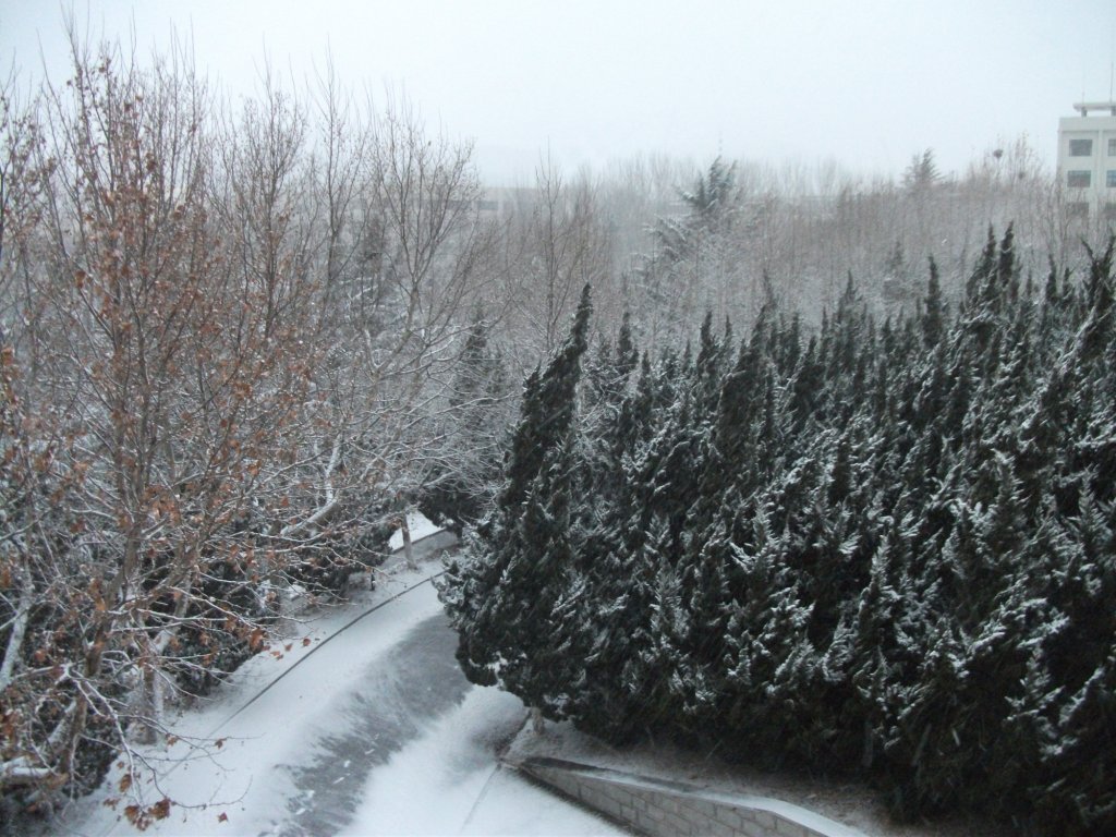 DSCF4632.JPG