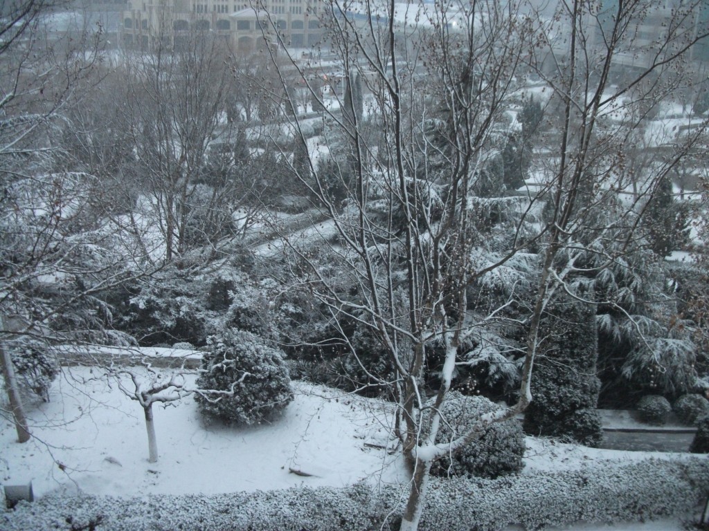 DSCF4634.JPG