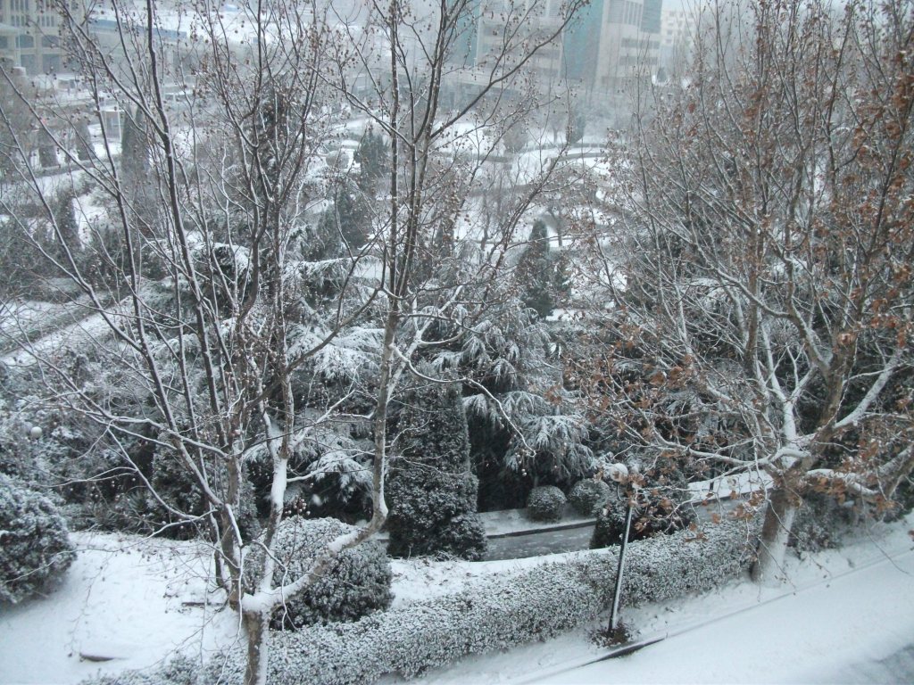 DSCF4631.JPG