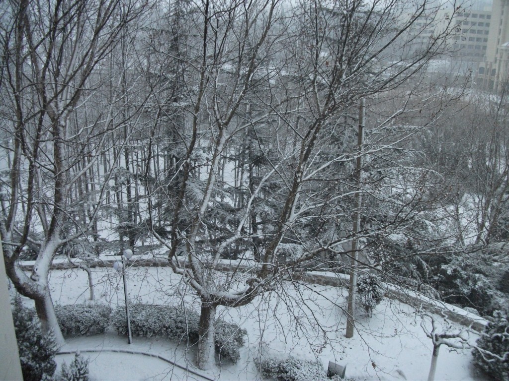 DSCF4633.JPG