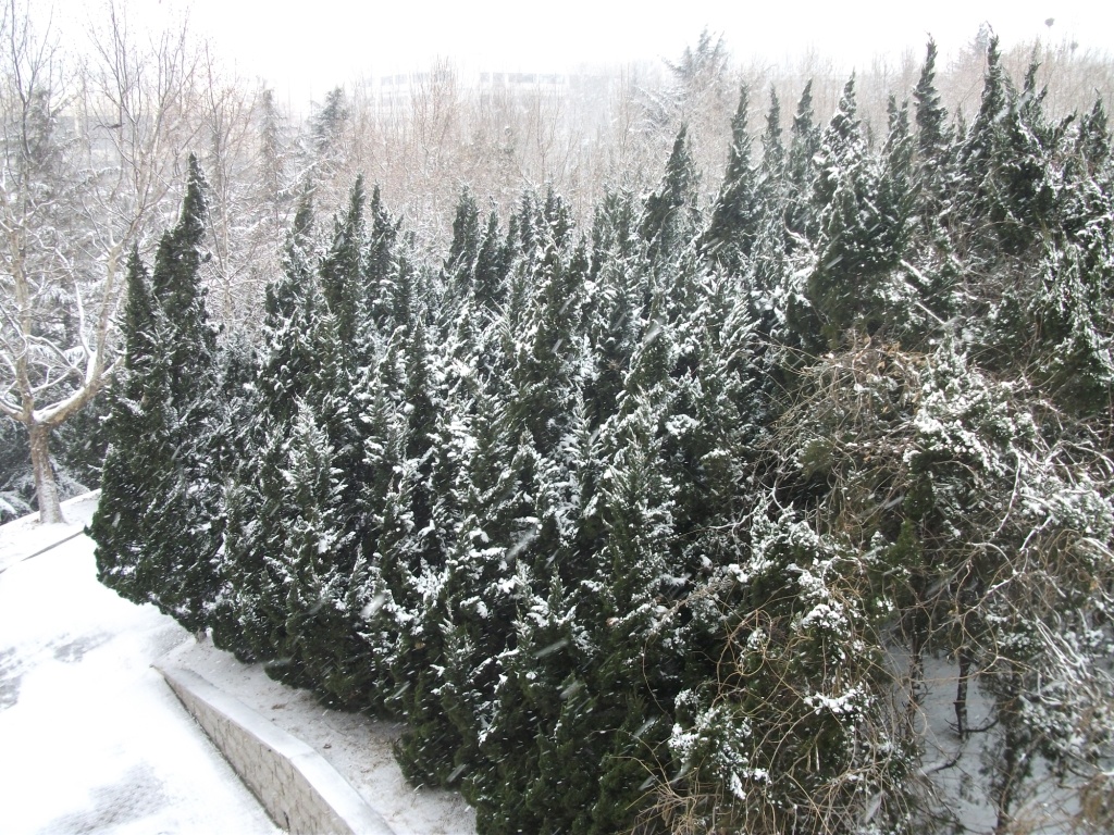 DSCF4638.JPG