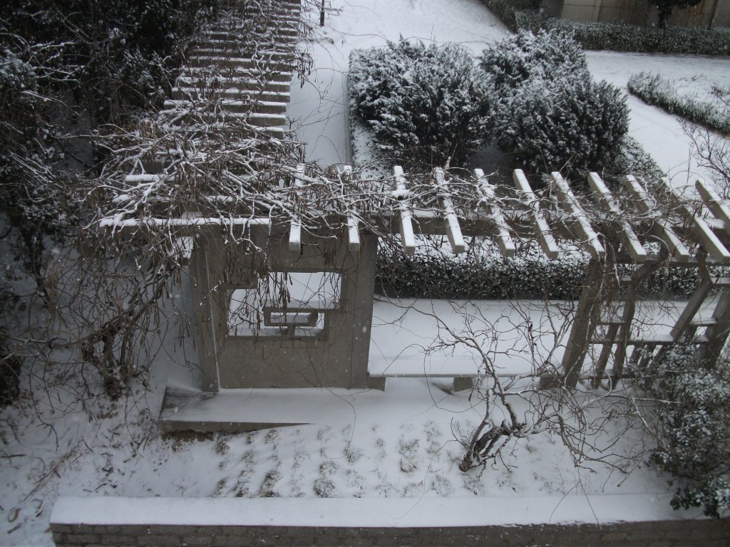 DSCF4639.JPG