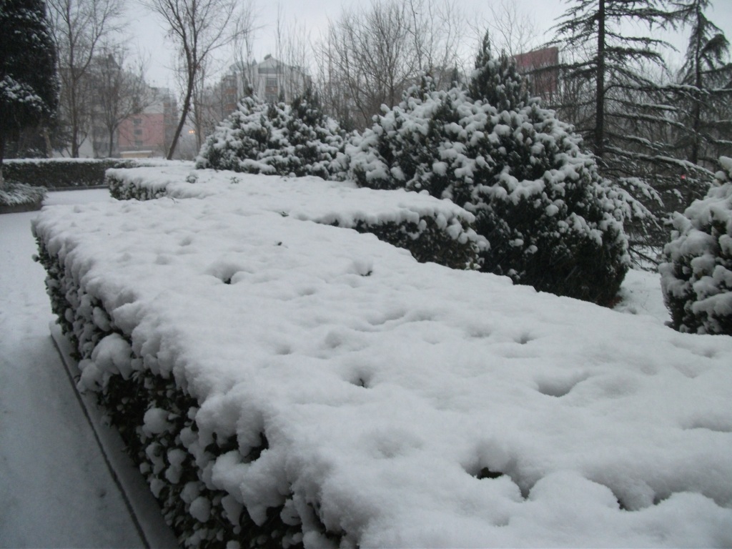 DSCF4641.JPG