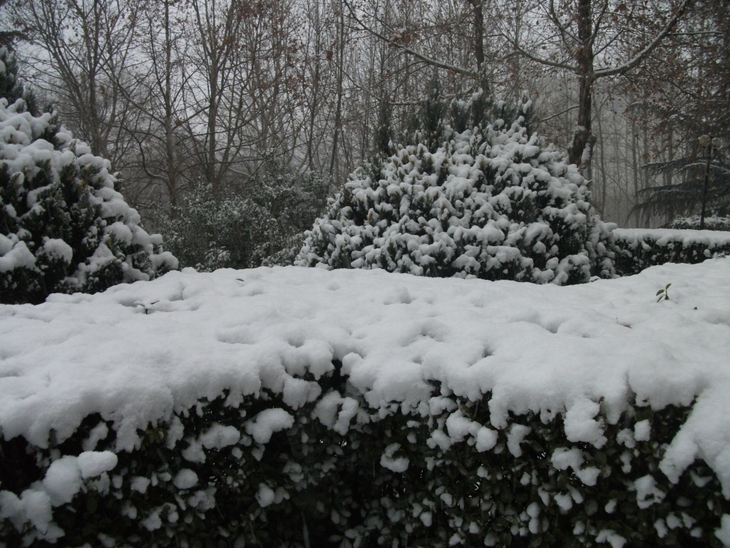 DSCF4644.JPG