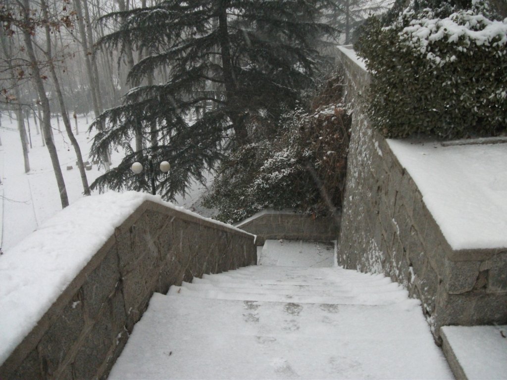DSCF4646.JPG