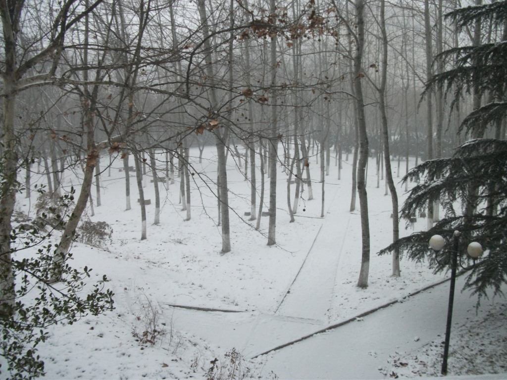 DSCF4647.JPG