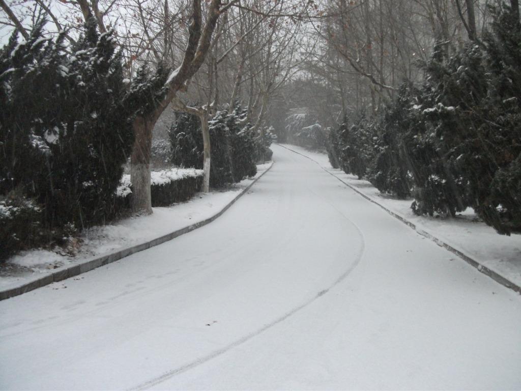 DSCF4649.JPG