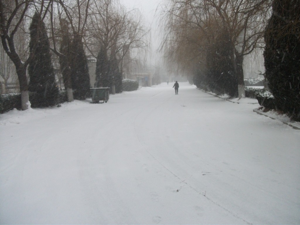 DSCF4650.JPG