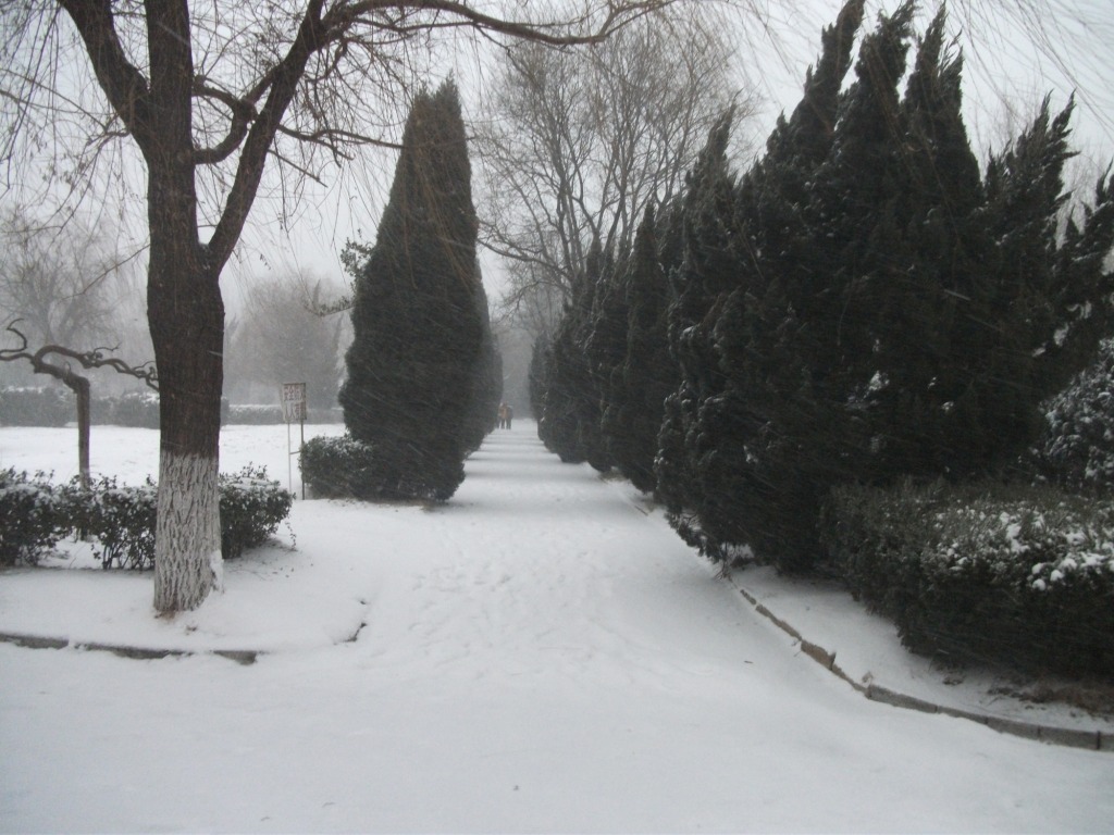 DSCF4651.JPG