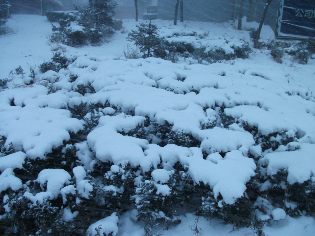 DSCF4656.JPG