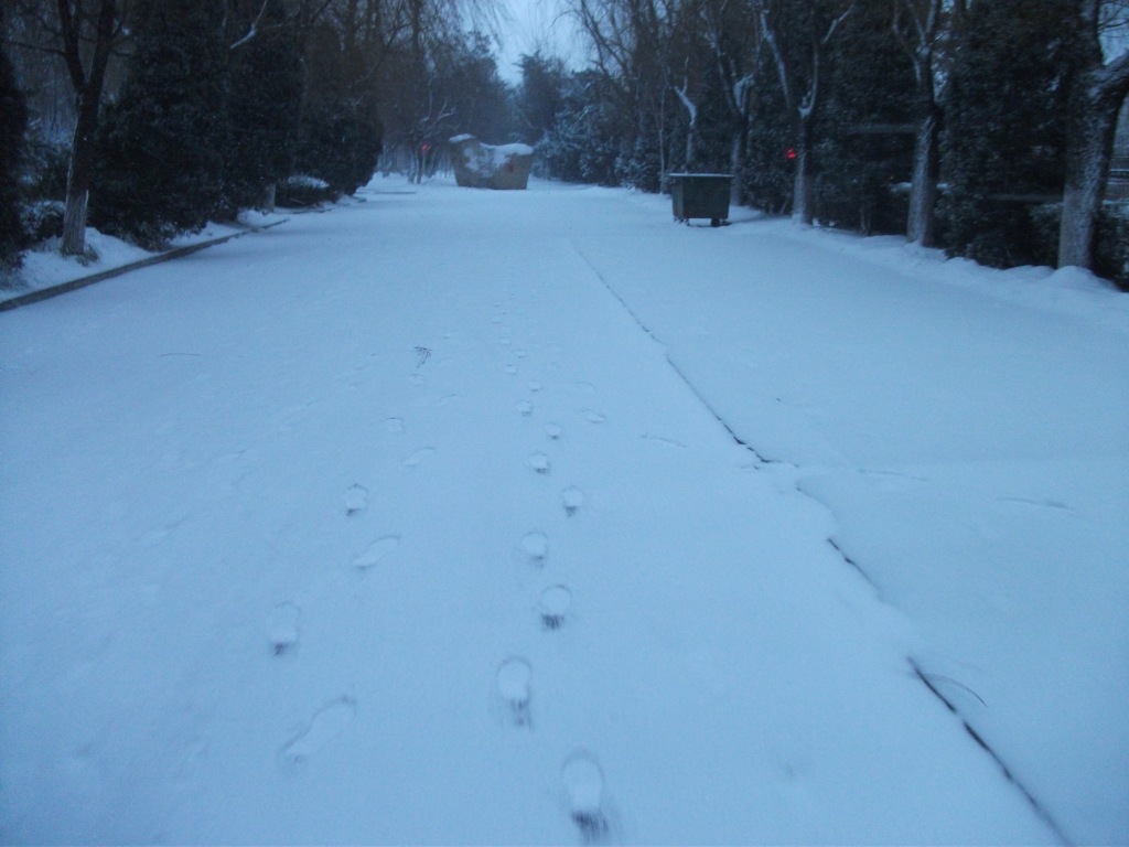 DSCF4658.JPG