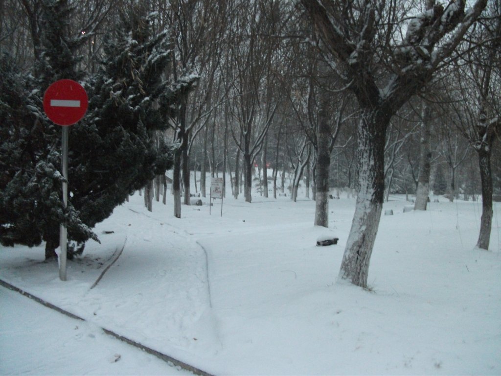 DSCF4659.JPG