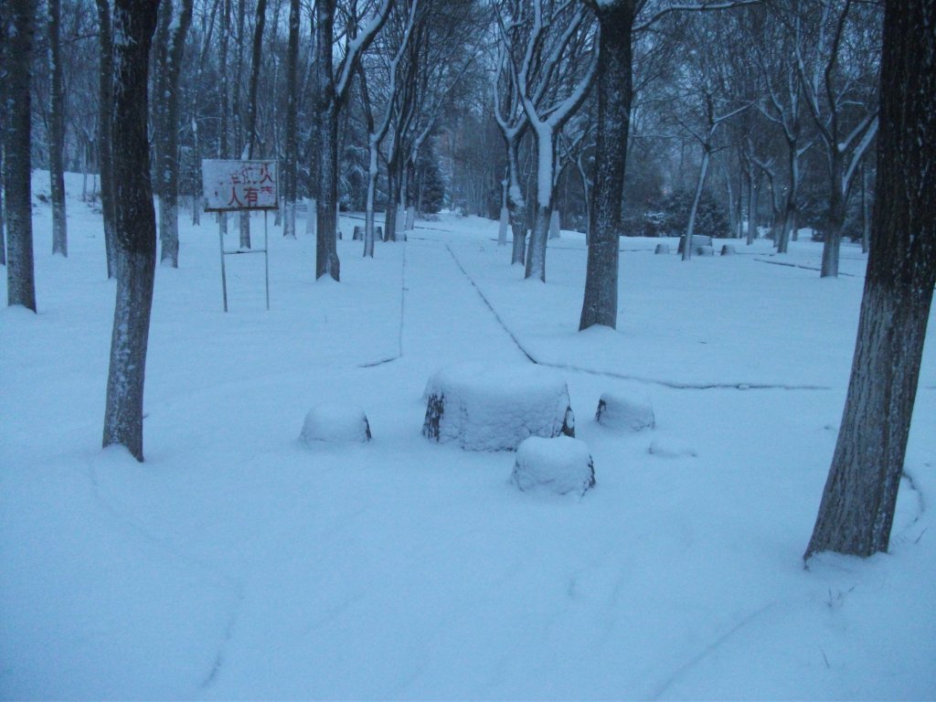 DSCF4660.JPG