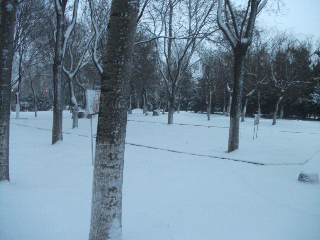 DSCF4661.JPG