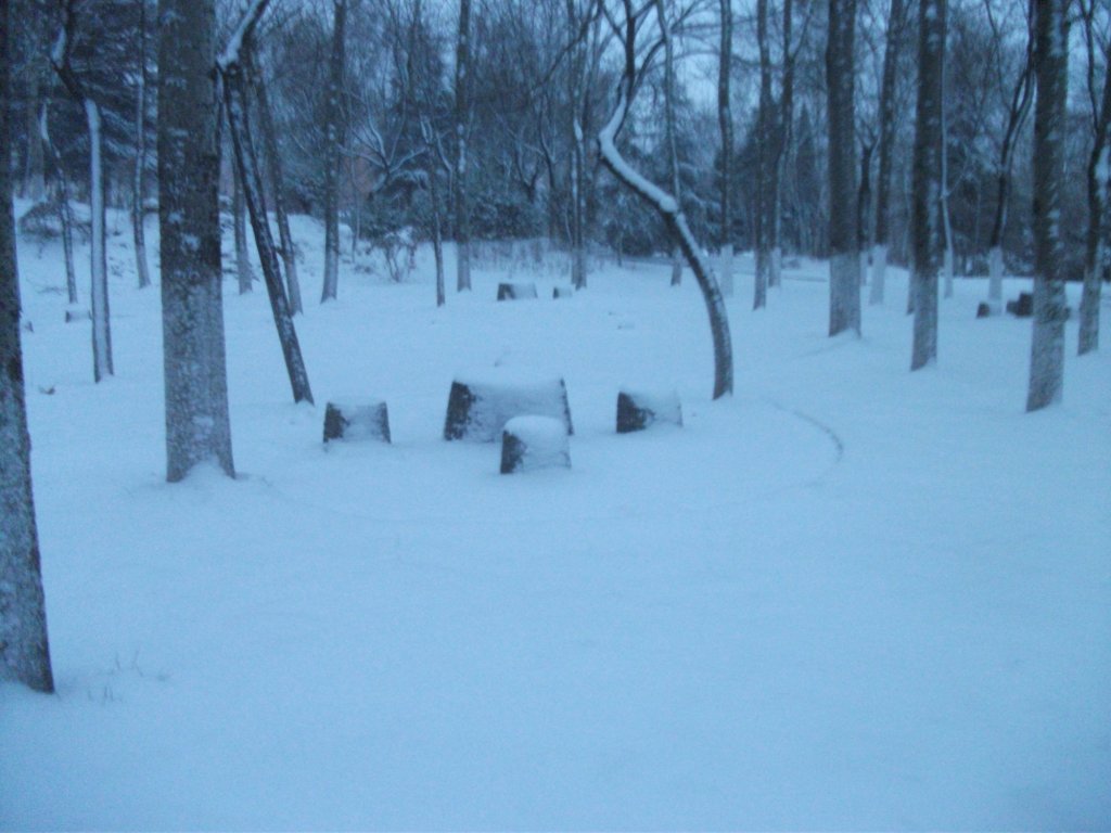 DSCF4662.JPG
