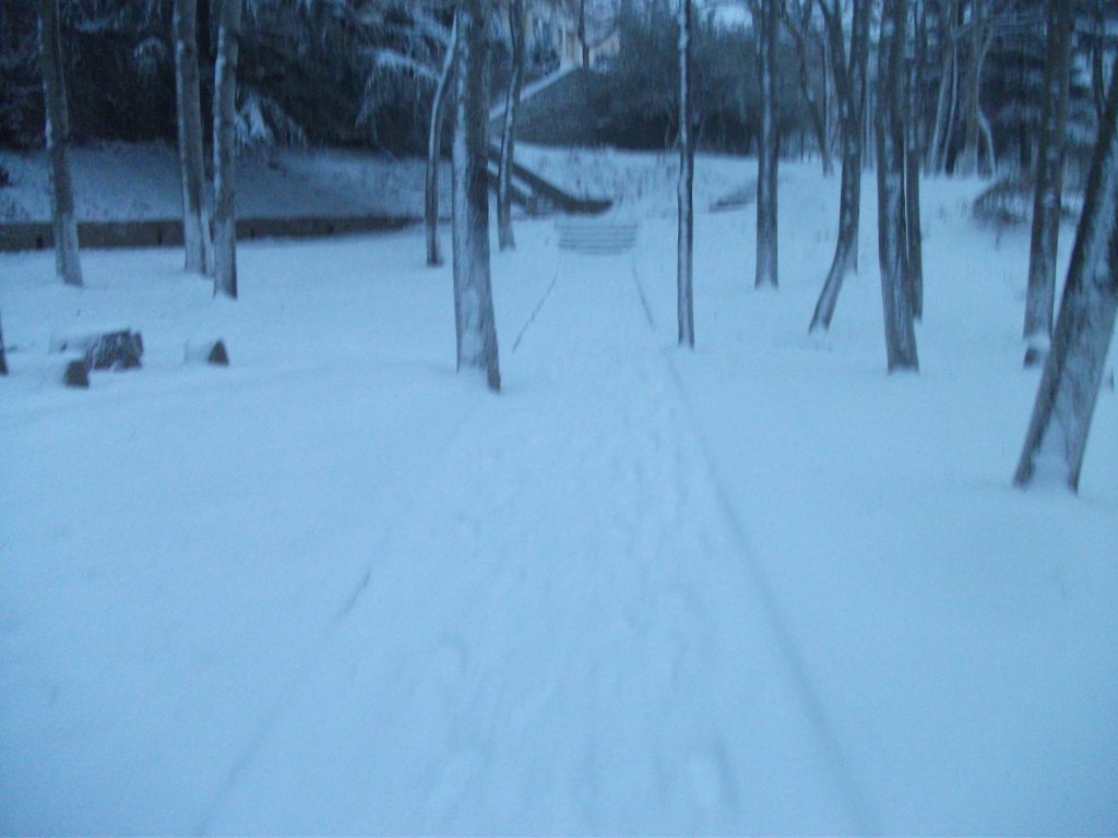DSCF4663.JPG