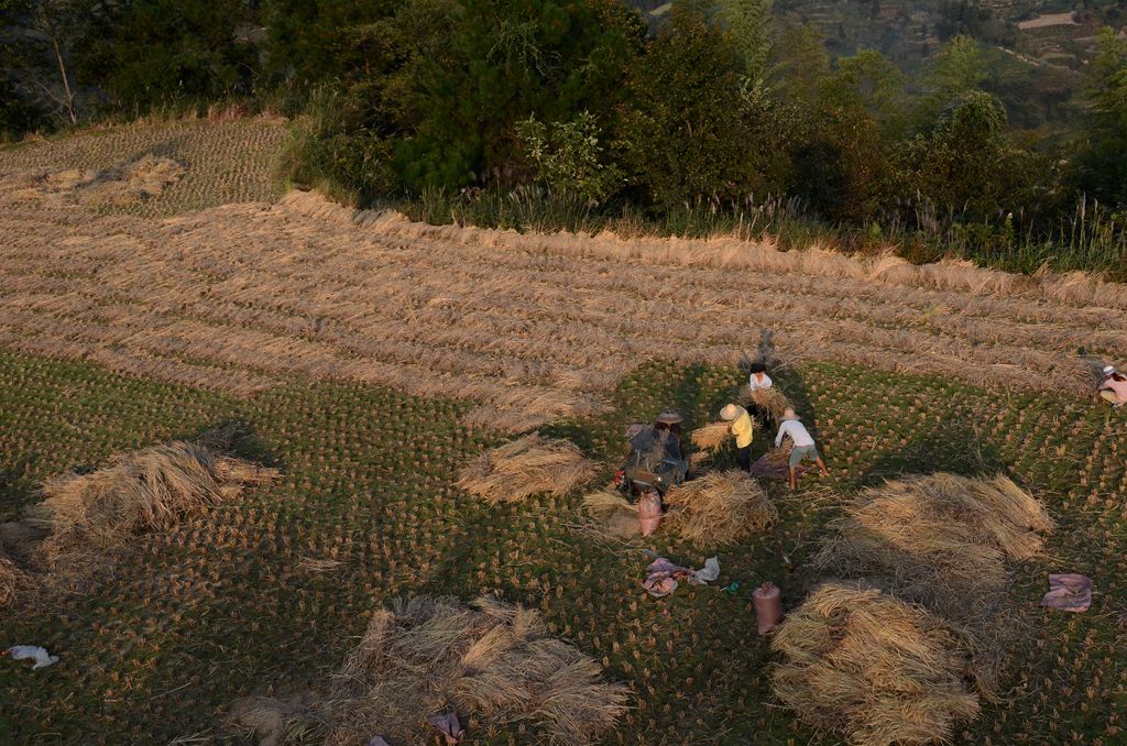 建武桂林之行 718_副本.jpg