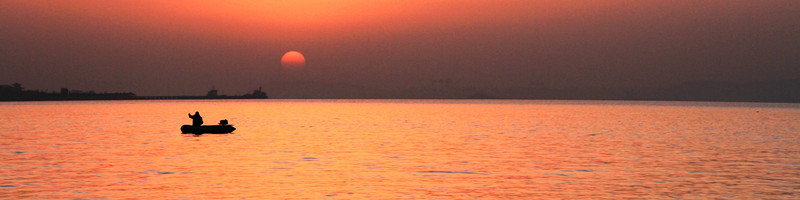IMG_7847.jpg