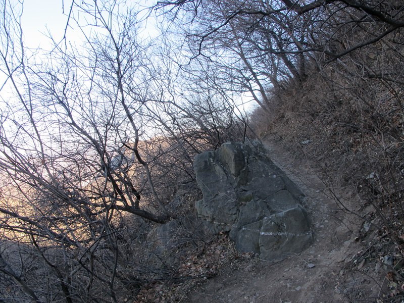 IMG_5313_副本.jpg