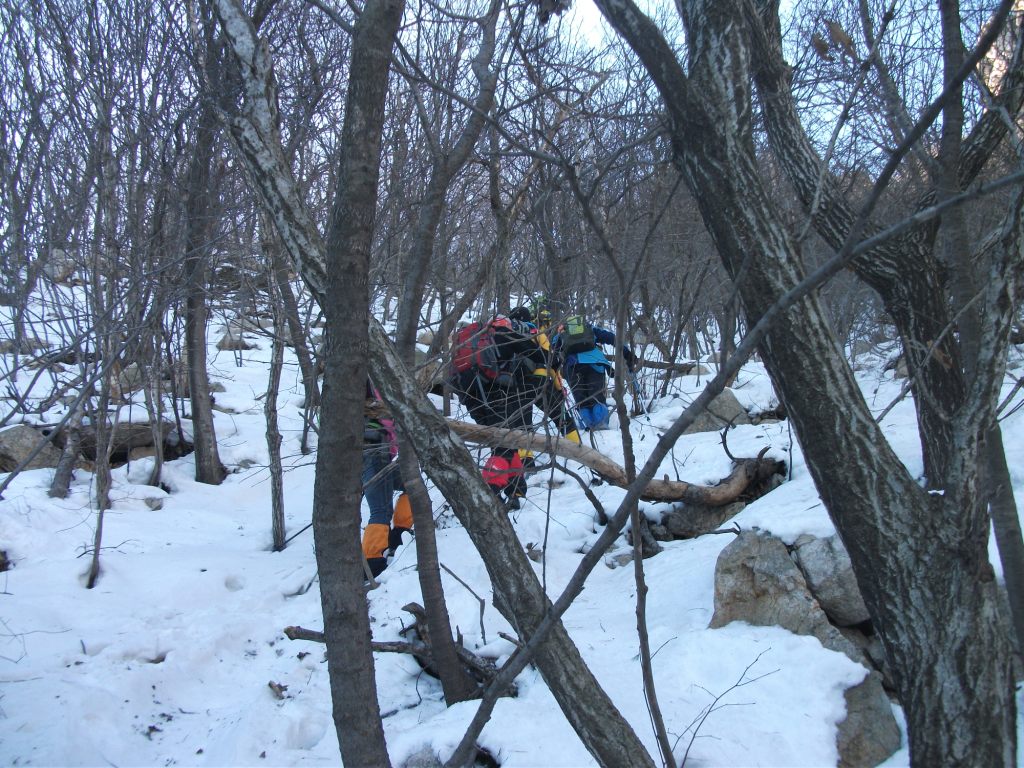 DSCF4863.JPG