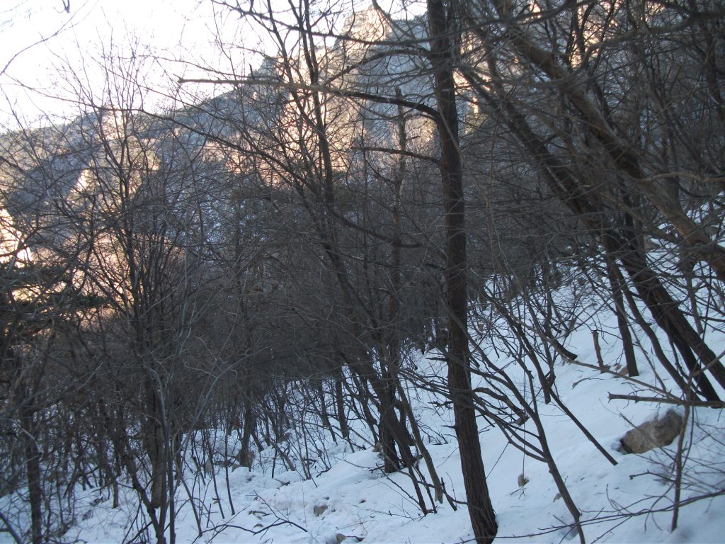 DSCF4865.JPG
