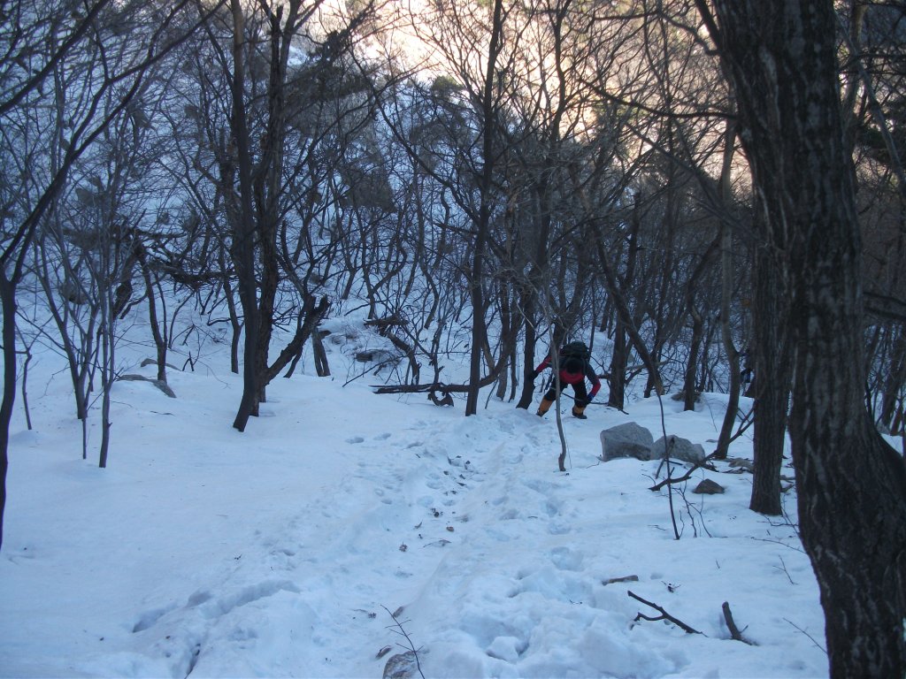 DSCF4871.JPG