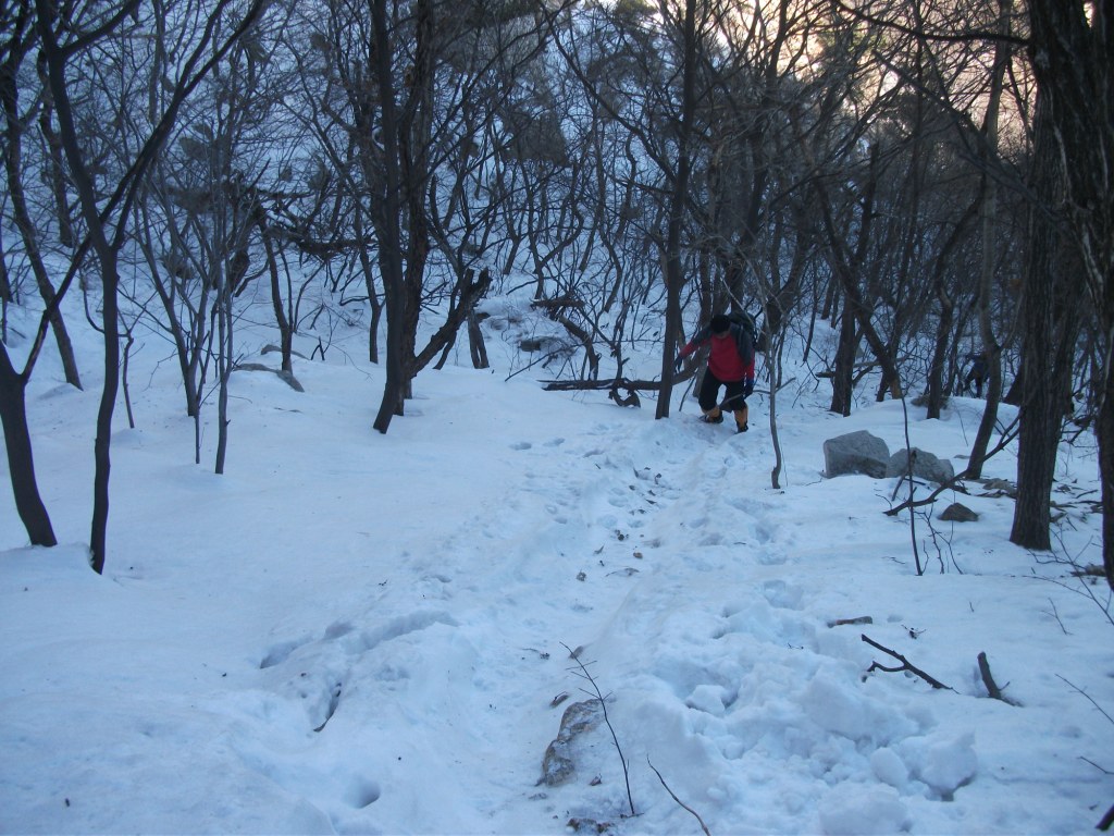 DSCF4872.JPG