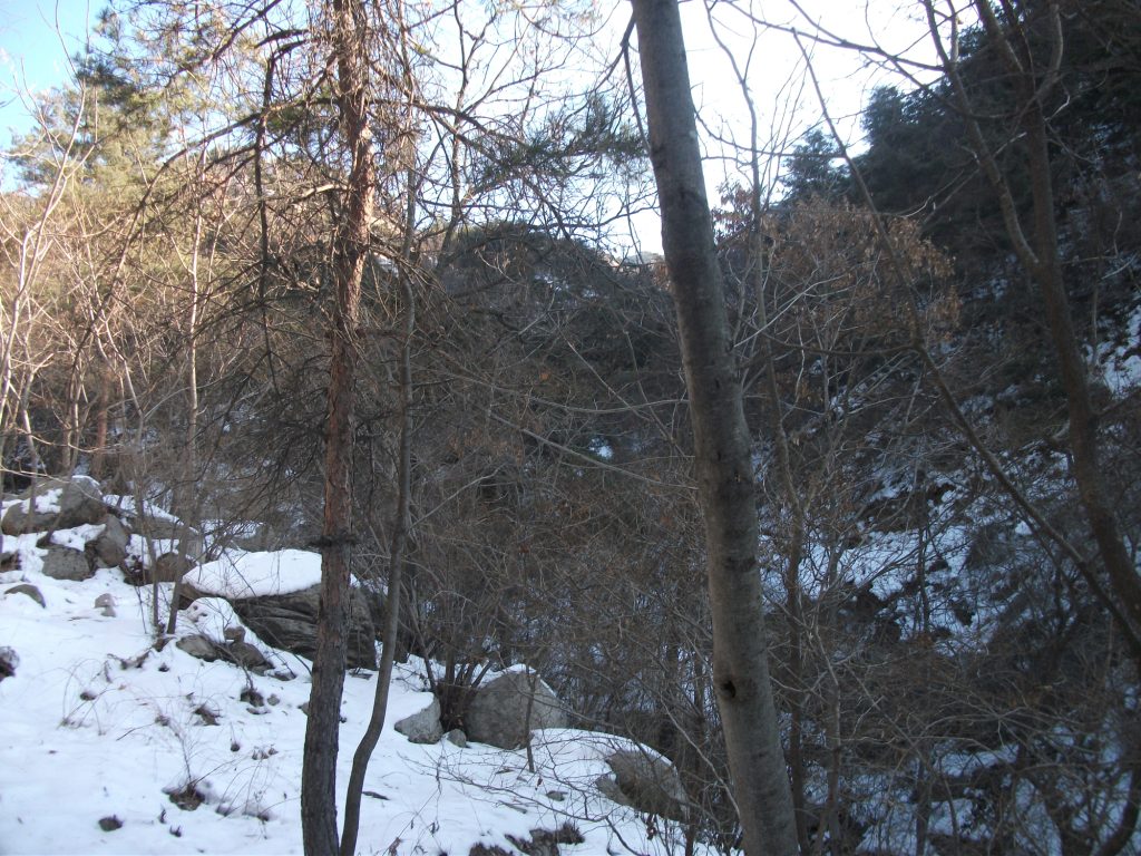 DSCF5053.JPG