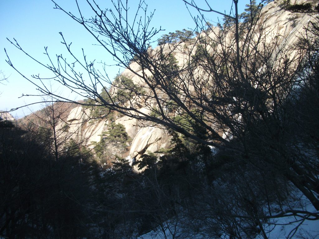 DSCF5014.JPG