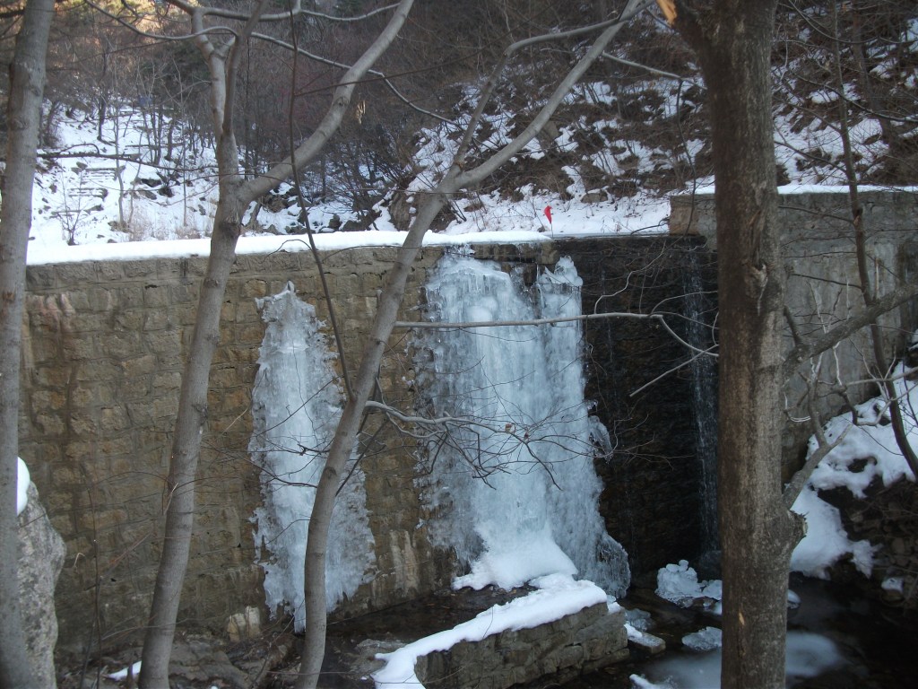 DSCF5055.JPG
