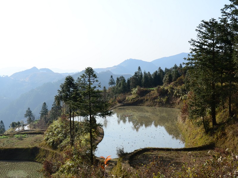 PhotoCap_027.jpg