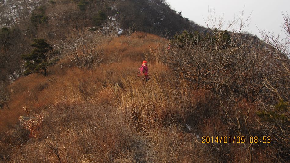 IMG_1973.jpg