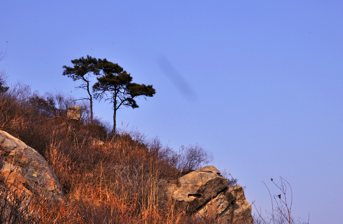 _DSC0065_副本.jpg
