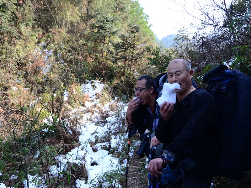 PhotoCap_340.jpg